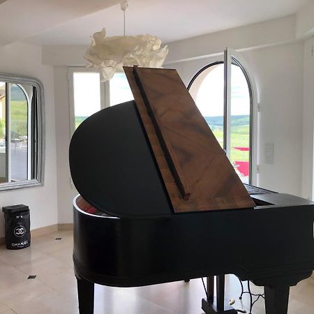 Floressens En Champagne Terrasse Privative Sur Le Vignoble Vila Fleury-la-Riviere Exterior foto