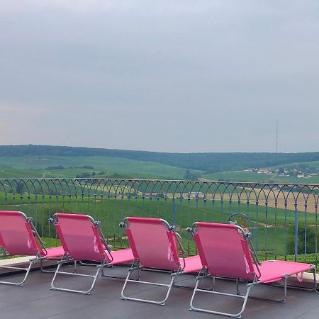 Floressens En Champagne Terrasse Privative Sur Le Vignoble Vila Fleury-la-Riviere Exterior foto