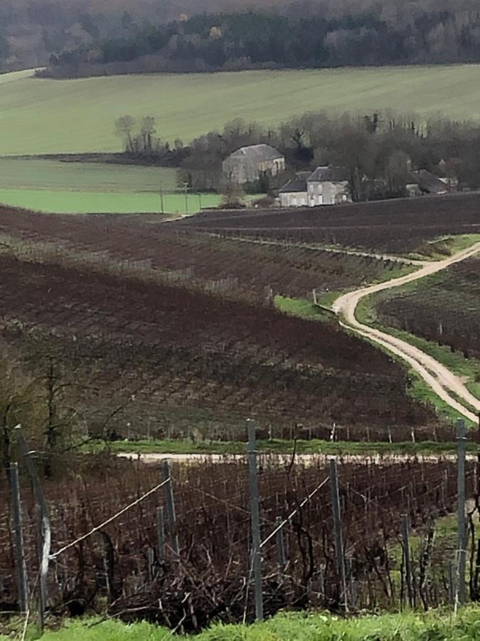 Floressens En Champagne Terrasse Privative Sur Le Vignoble Vila Fleury-la-Riviere Exterior foto