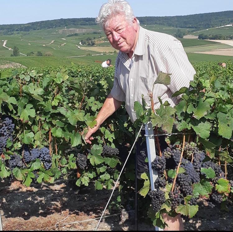 Floressens En Champagne Terrasse Privative Sur Le Vignoble Vila Fleury-la-Riviere Exterior foto