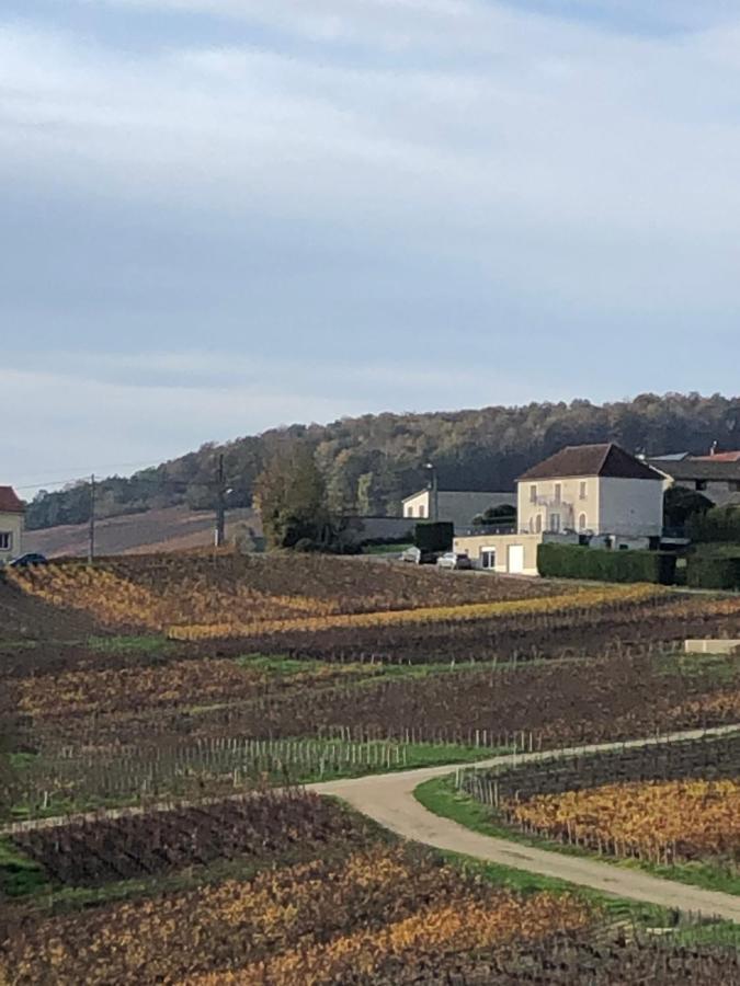 Floressens En Champagne Terrasse Privative Sur Le Vignoble Vila Fleury-la-Riviere Exterior foto