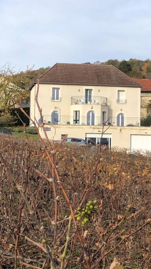Floressens En Champagne Terrasse Privative Sur Le Vignoble Vila Fleury-la-Riviere Exterior foto