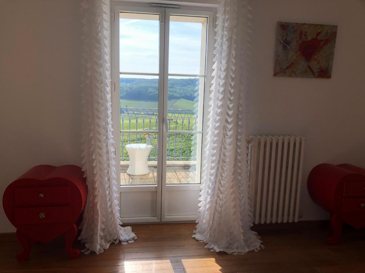 Floressens En Champagne Terrasse Privative Sur Le Vignoble Vila Fleury-la-Riviere Exterior foto