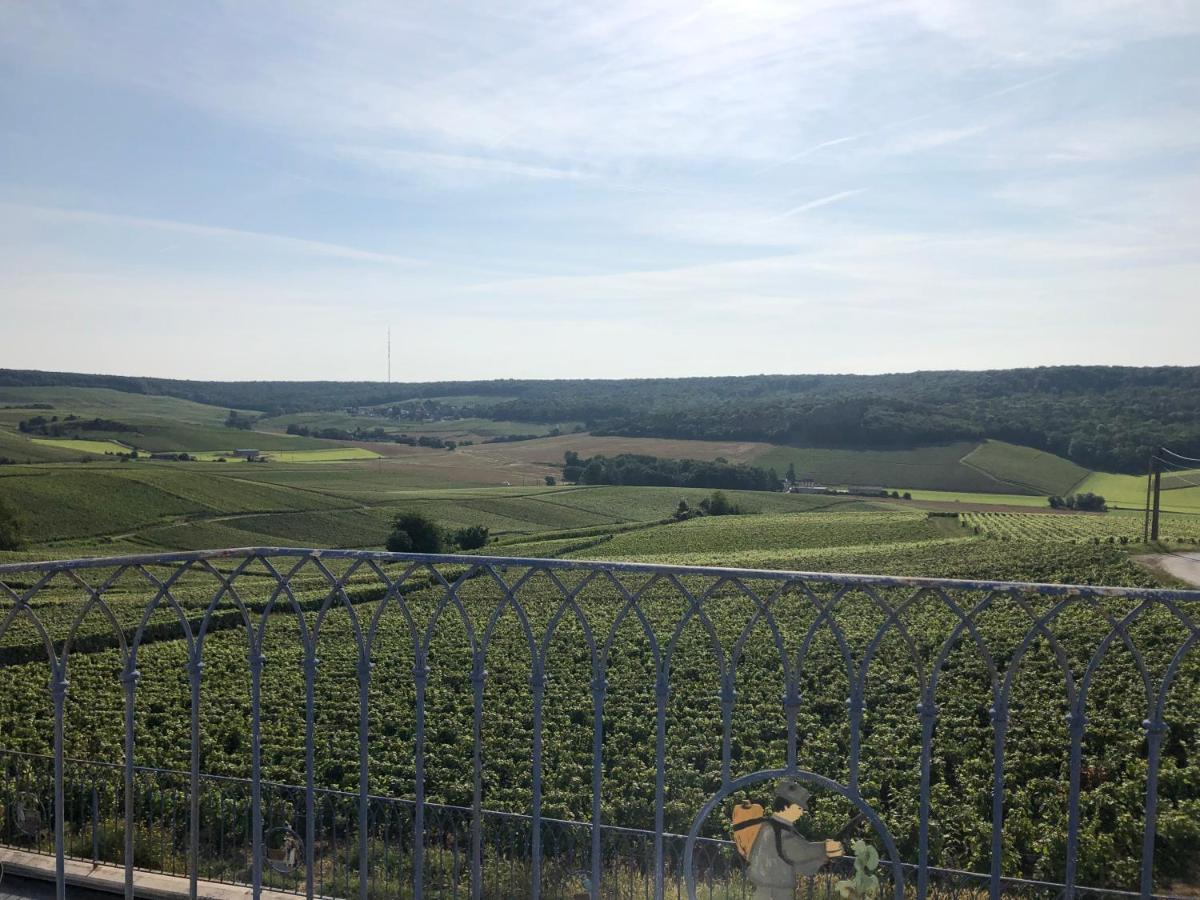 Floressens En Champagne Terrasse Privative Sur Le Vignoble Vila Fleury-la-Riviere Exterior foto