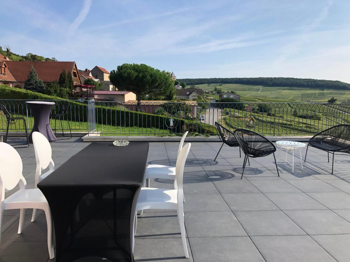Floressens En Champagne Terrasse Privative Sur Le Vignoble Vila Fleury-la-Riviere Exterior foto