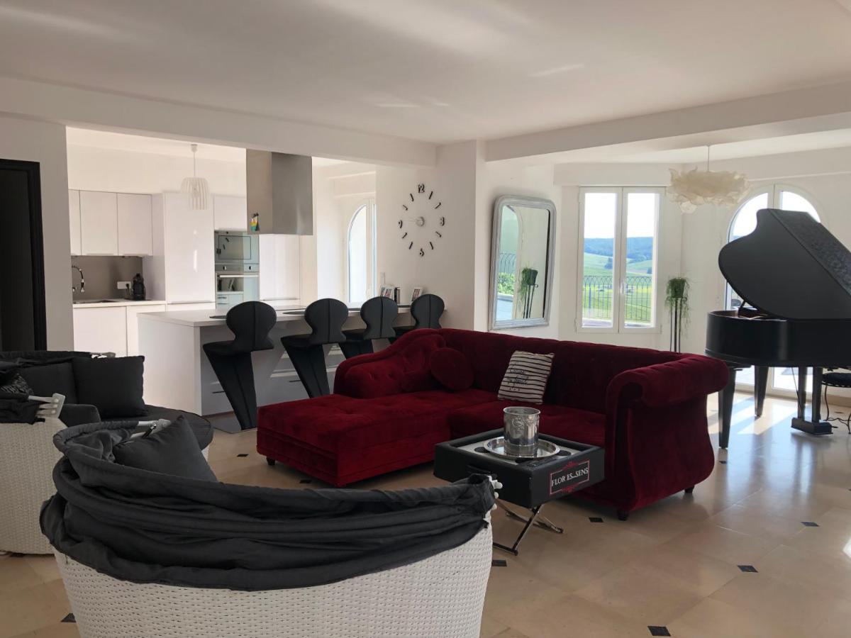 Floressens En Champagne Terrasse Privative Sur Le Vignoble Vila Fleury-la-Riviere Exterior foto