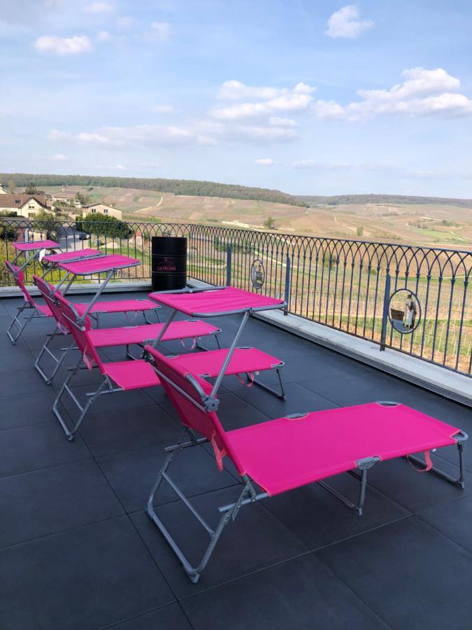 Floressens En Champagne Terrasse Privative Sur Le Vignoble Vila Fleury-la-Riviere Exterior foto