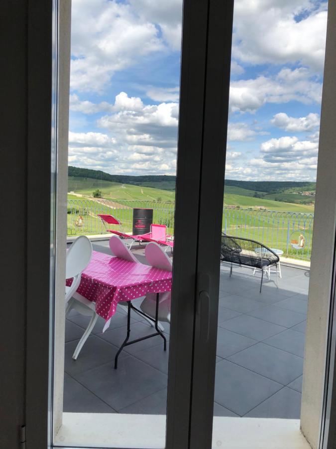 Floressens En Champagne Terrasse Privative Sur Le Vignoble Vila Fleury-la-Riviere Exterior foto