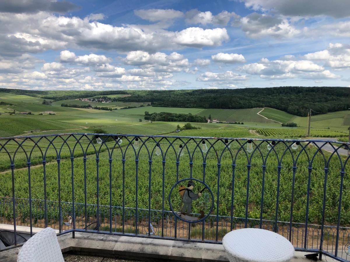 Floressens En Champagne Terrasse Privative Sur Le Vignoble Vila Fleury-la-Riviere Exterior foto