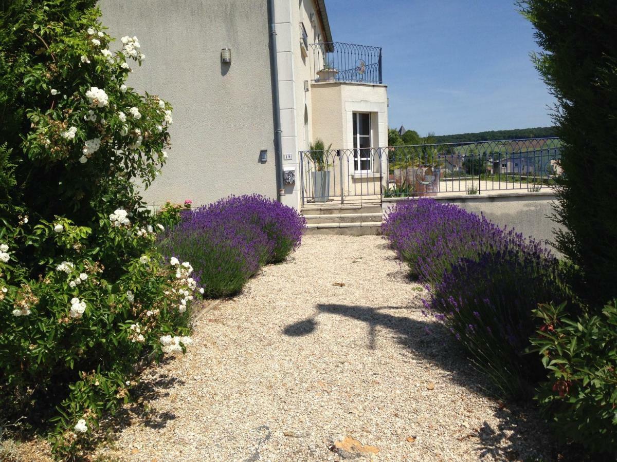 Floressens En Champagne Terrasse Privative Sur Le Vignoble Vila Fleury-la-Riviere Exterior foto