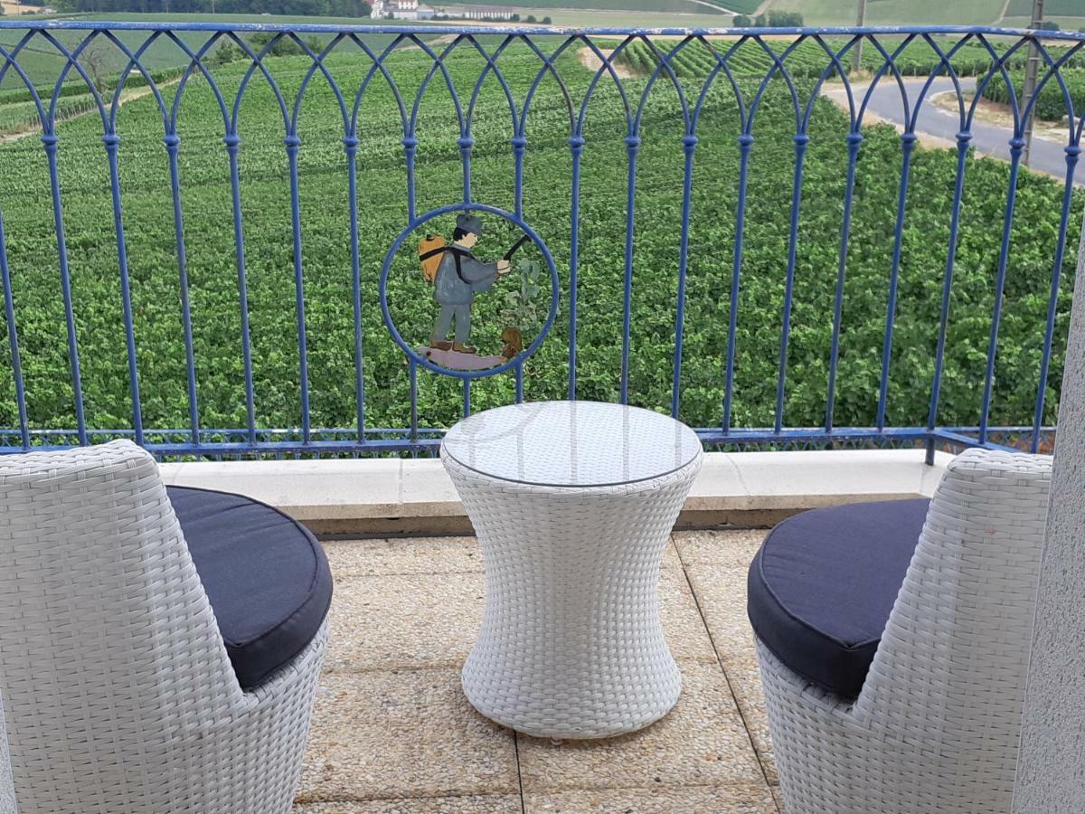 Floressens En Champagne Terrasse Privative Sur Le Vignoble Vila Fleury-la-Riviere Exterior foto